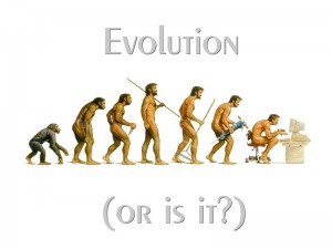 Is it really evolution if nothing changes?