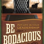 be bodacious put life in your leadership book review