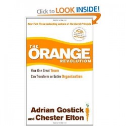 the orange revolution book review gostick elton