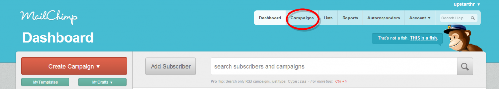 Dashboard   MailChimp-085043